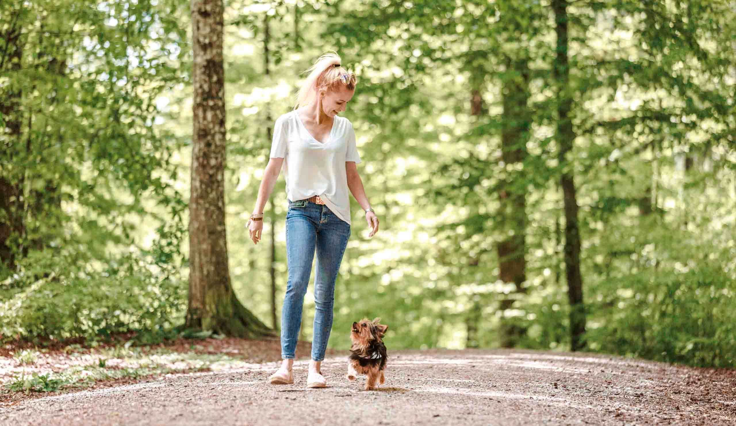 Trainer walking with a small dog on a forest path